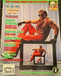 World Wrestling Federation (WWF) February 1994 Magazine Back Copies Magizines Mags