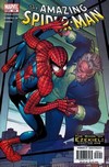 Amazing Spider-Man # 506