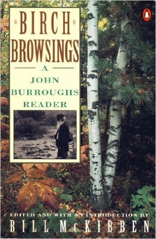 Birch Browsings: A John Burroughs Reader written by Bill McKibben