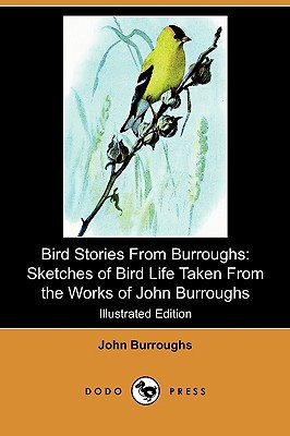 Bird Stories from Burroughs magazine reviews