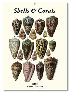 Shells 2012 Calendar magazine reviews