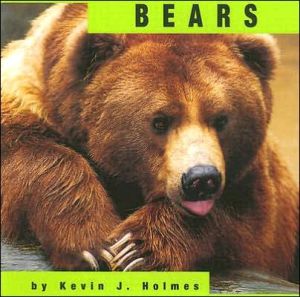 Bears book written by Kevin J. Holmes