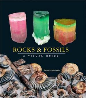 Rocks and Fossils: A Visual Guide, <i>Uncover the intriguing world beneath our feet</i>
Rocks and Fossils reveal the state of the planet now and what the future may bring, including clues about the shifting, changing nature of the continents, mountain ranges, oceans, and islands., Rocks and Fossils: A Visual Guide