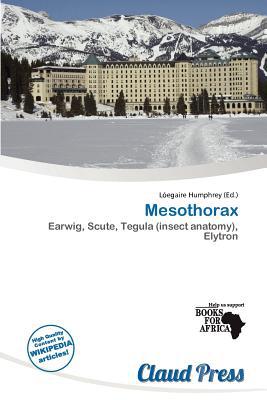 Mesothorax magazine reviews