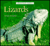 Lizards book written by Susan Schafer