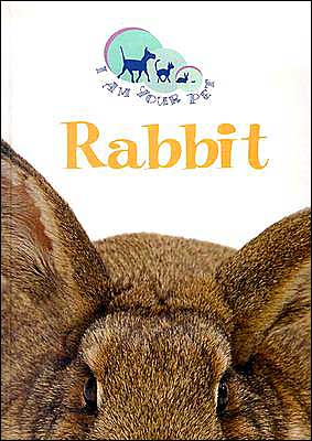 Rabbit book written by Matthew Rayner