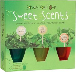 Sprout Your Own Sweet Scents: Complete Mini Garden Kit with Seeds, Peat Pellets, and Planters book written by Chronicle Books
