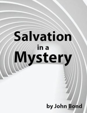 Salvation in a Mystery magazine reviews