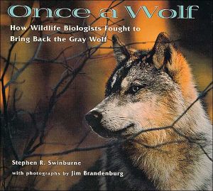 Once A Wolf magazine reviews