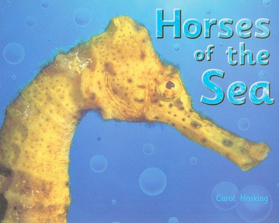 Horses of the Sea magazine reviews