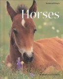 Horses book written by Rebecca Stefoff