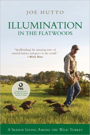 Illumination in the Flatwoods magazine reviews