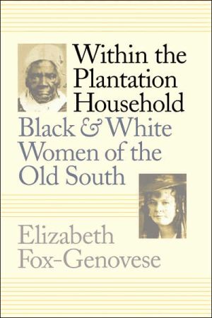 Within the Plantation Household: Black and White Women of the Old South book written by Elizabeth Fox-Genovese