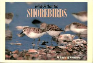 Mid-Atlantic Shorebirds magazine reviews