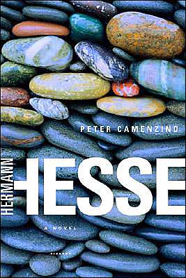 Peter Camenzind book written by Hermann Hesse