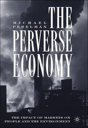 The Perverse Economy book written by Michael Perelman