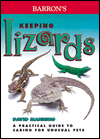 Keeping Lizards magazine reviews