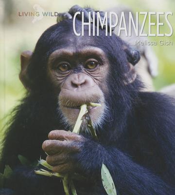 Chimpanzees magazine reviews