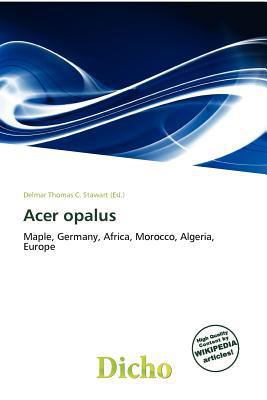 Acer Opalus magazine reviews