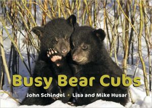 Busy Bear Cubs book written by Schindel, John, Husar, Lisa, Husar, Mike