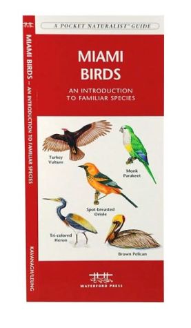 Miami Birds: An Introduction to Familiar Species of Miami, Florida book written by James Kavanagh