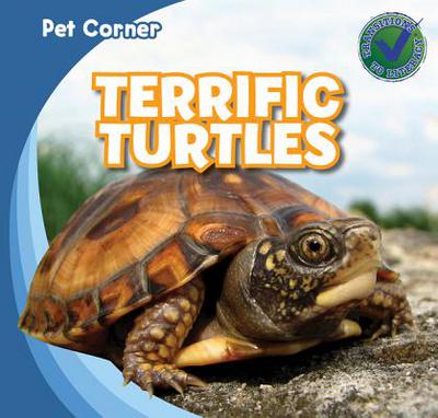 Terrific Turtles magazine reviews