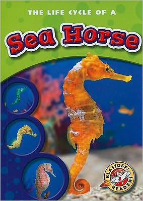 The Life Cycle of a Sea Horse magazine reviews