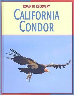 California Condor magazine reviews