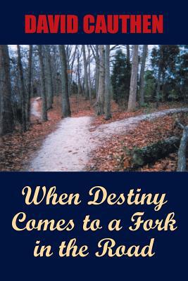 When Destiny Comes to a Fork in the Road magazine reviews