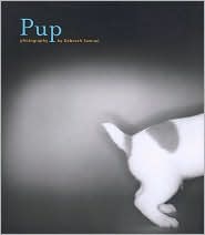 Pup book written by Deborah Samuel