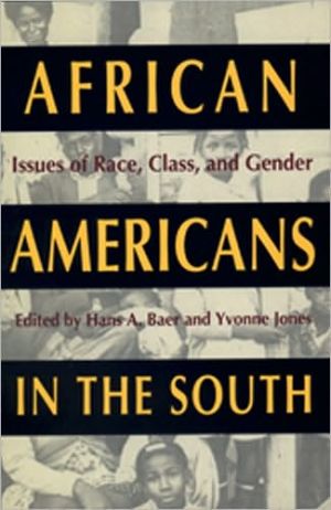 African Americans in the South: Issues of Race, Class, and Gender book written by Hans A. Baer