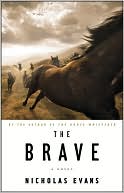 The Brave book written by Nicholas Evans