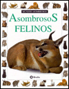 Asombrosos Felinos magazine reviews