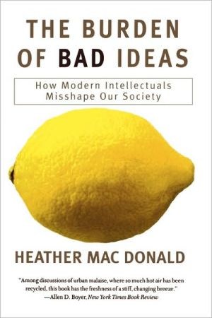 Burden Of Bad Ideas magazine reviews