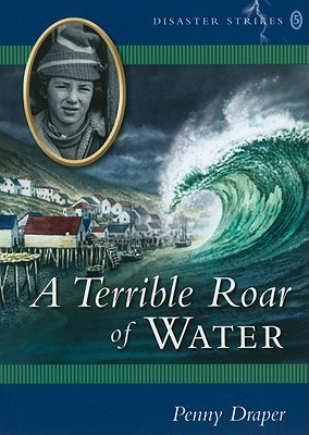 A Terrible Roar of Water magazine reviews