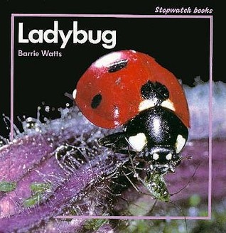 Ladybug magazine reviews
