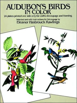 Audubon's Birds in Color book written by Eleanor H. Rawlings