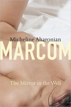 The Mirror in the Well book written by Micheline Aharonian Marcom