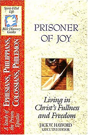 B22-Prisoner of Joy magazine reviews