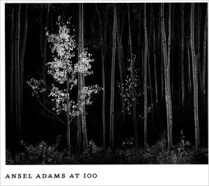 Ansel Adams at 100 book written by Ansel Adams