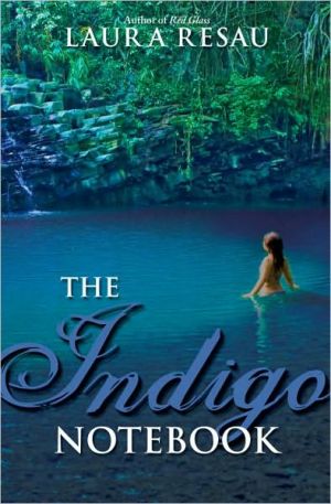 The Indigo Notebook written by Laura Resau