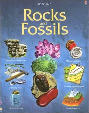 Rocks and Fossils book written by Martyn Bramwell