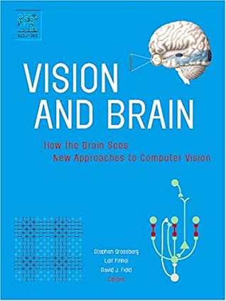 Vision and Brain magazine reviews
