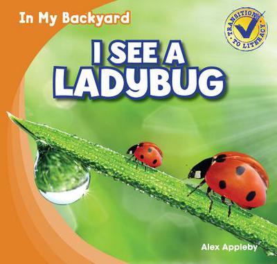 I See a Ladybug magazine reviews