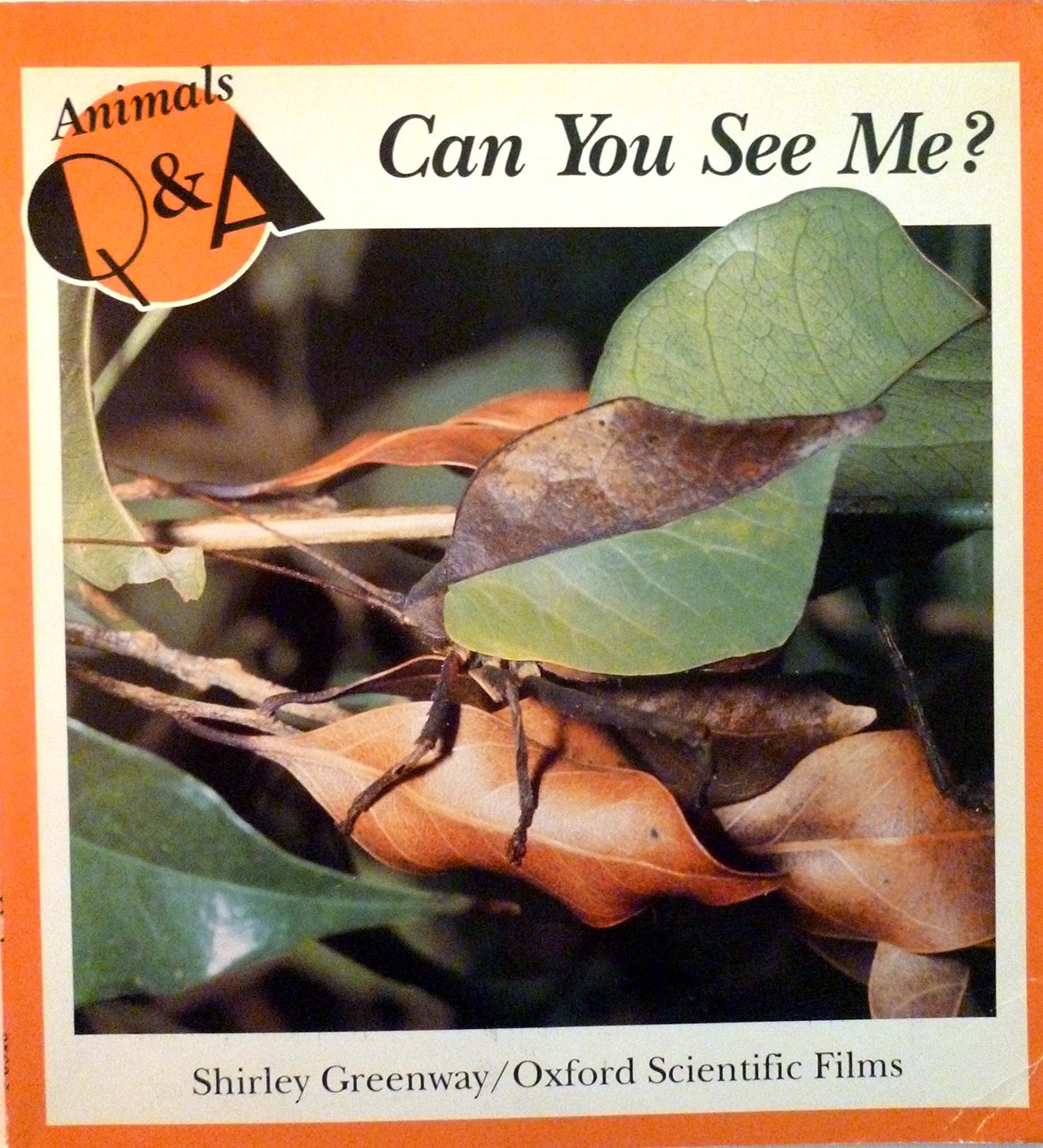Can you see me? magazine reviews