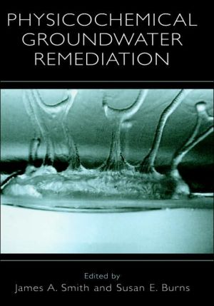 Physicochemical Groundwater Remediation book written by James A. Smith
