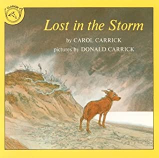 Lost in the Storm magazine reviews