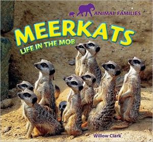 Meerkats magazine reviews