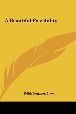 A Beautiful Possibility magazine reviews