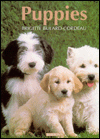 Puppies book written by Brigitte Bulard-Cordeau